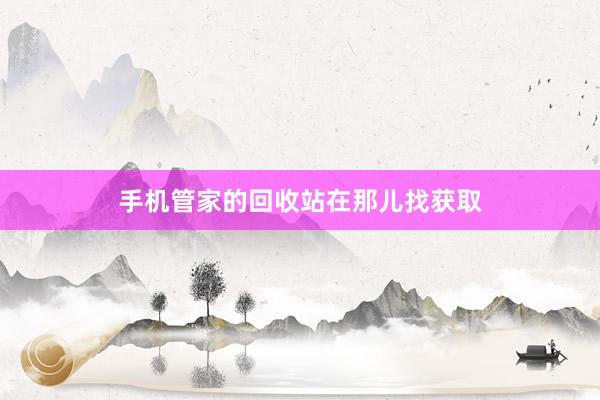 手机管家的回收站在那儿找获取